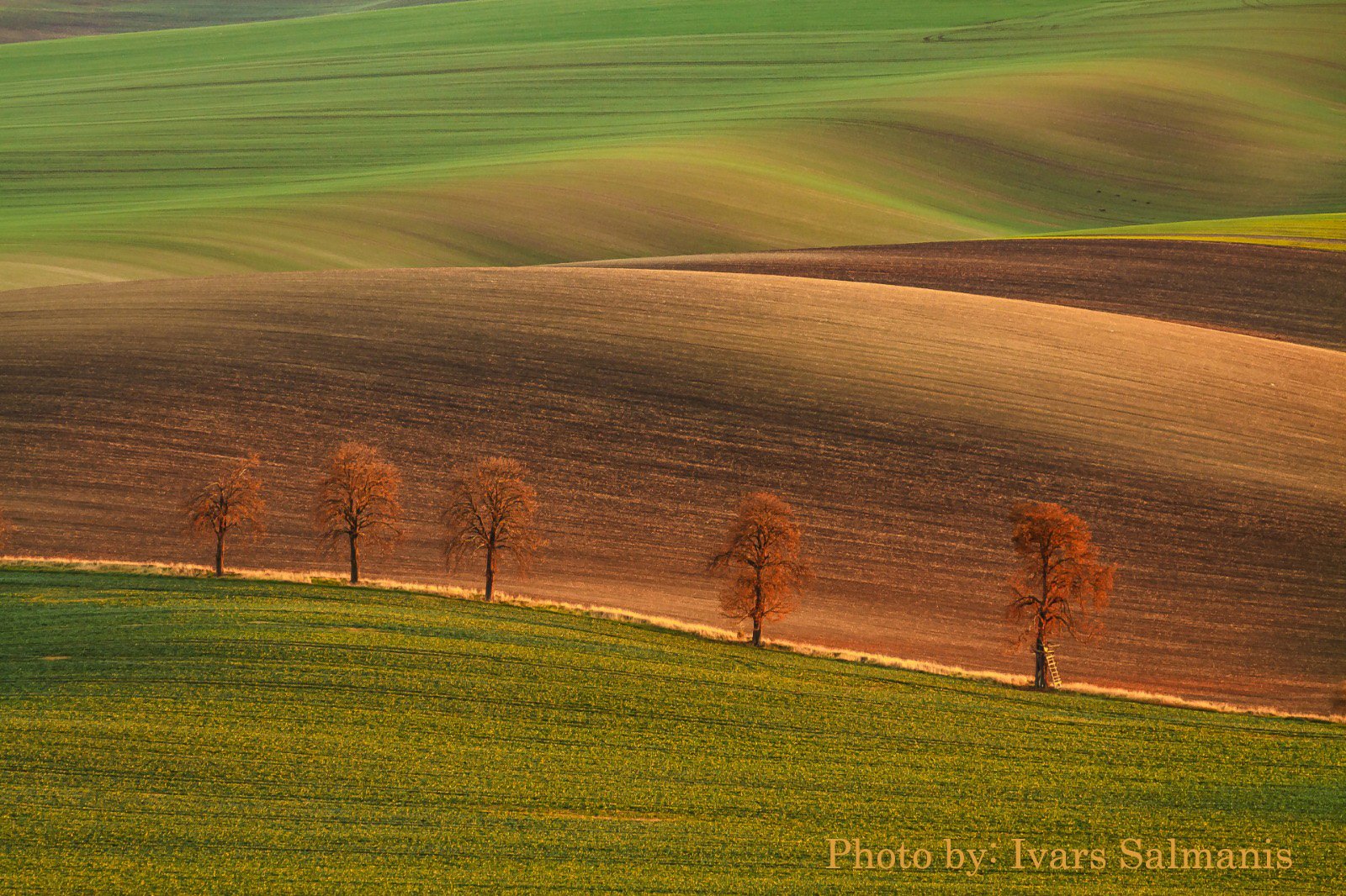 1st International photo salon - AUTUMN 2026